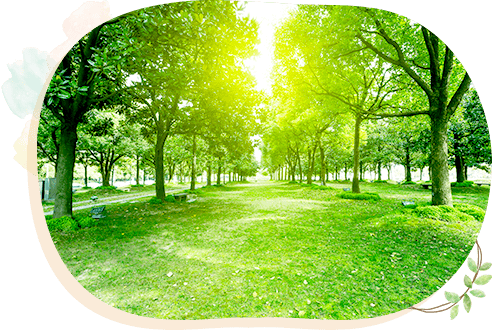 キネシオロジーとは？