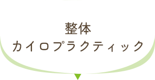 整体カイロプラクティック
